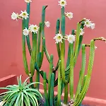 Fuerteventura Apartmán
