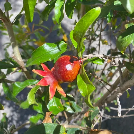 Fuerteventura Apartman Corralejo